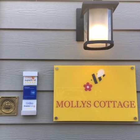 Mollys Cottage-The Suite On Vancouver Island Near Yyj Airport And The Wa And Bc Ferries North Saanich 외부 사진
